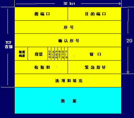 TCP协议